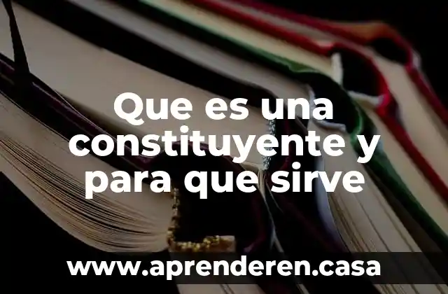Que es prueba constituyente en el proceso civil 7 Que es una constituyente y para que sirve