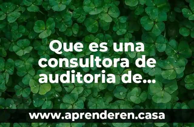 Que es una consultora de auditoria de personal
