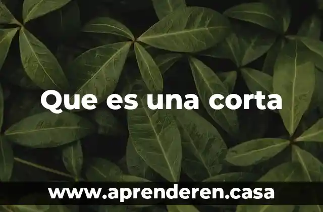 Que es una corta