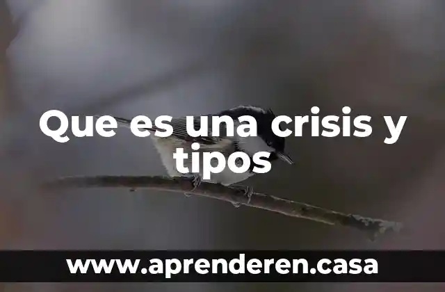 Que es una crisis y tipos