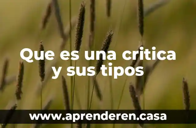 Que es una critica y sus tipos