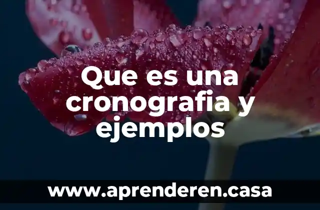 Que es una cronografia y ejemplos