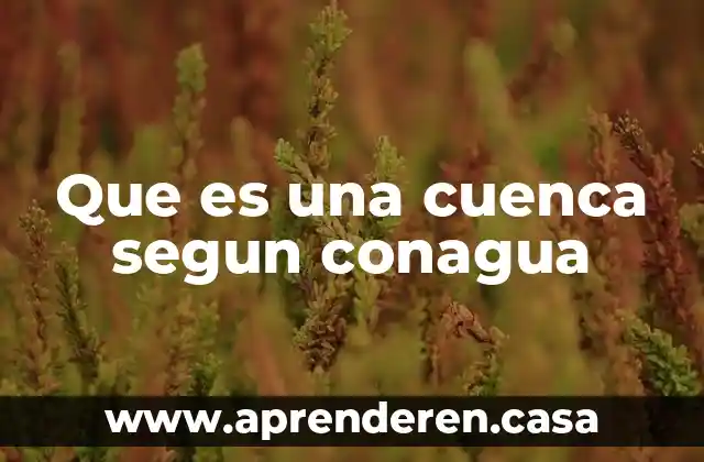 Que es una cuenca segun conagua
