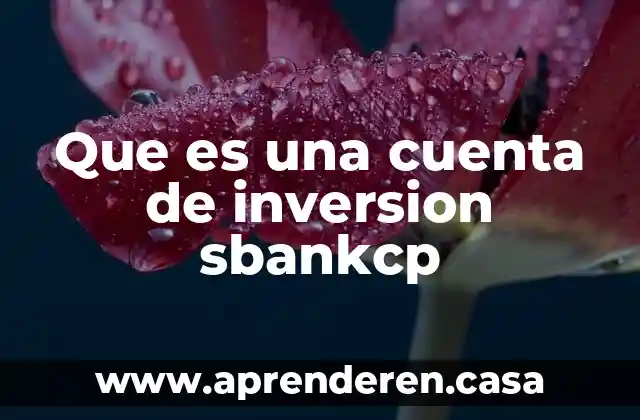 Que es una cuenta de inversion sbankcp