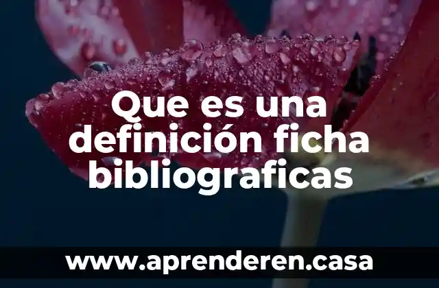 Que es una definición ficha bibliograficas