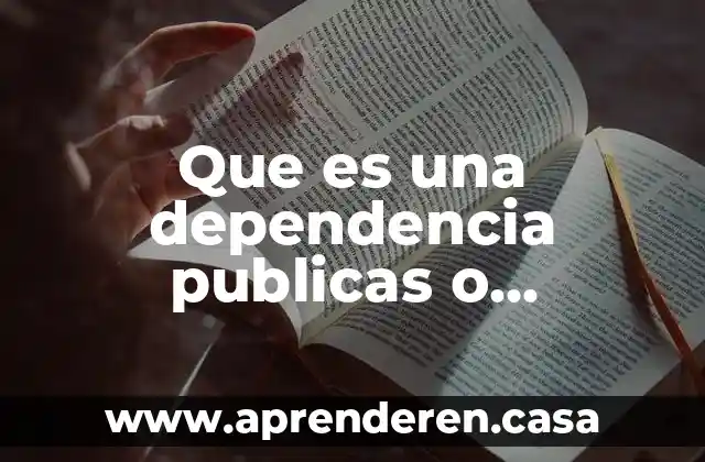 Que es una dependencia publicas o privadas
