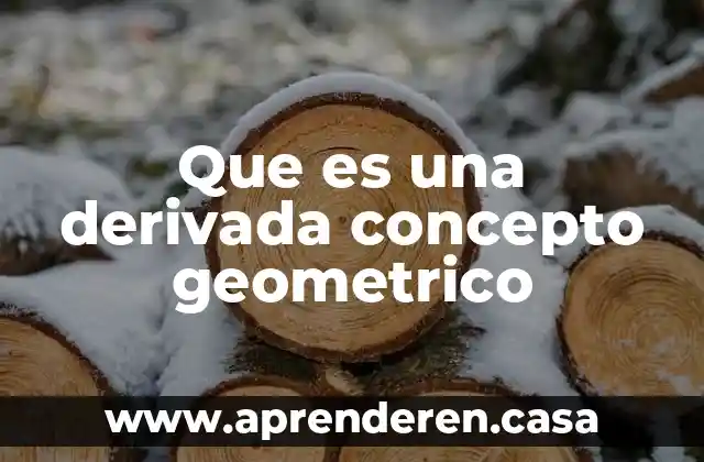 Que es una derivada concepto geometrico