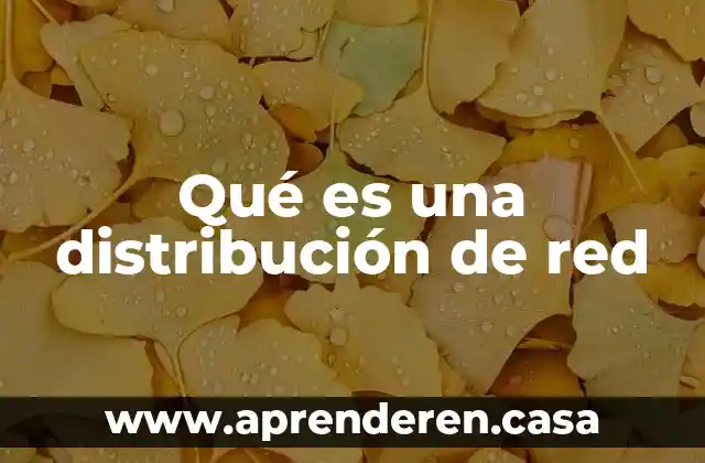Qué es una distribución de red