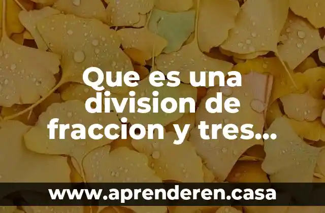 Qué es una fracción periódica y no periódica 6 Que es una division de fraccion y tres ejemplos
