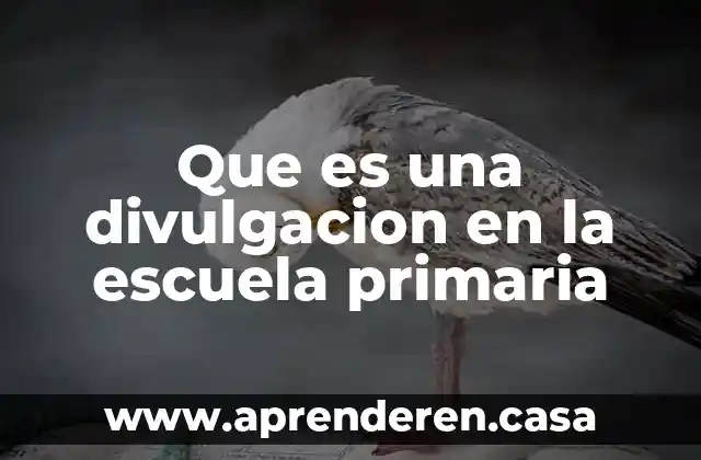 Que es una divulgacion en la escuela primaria