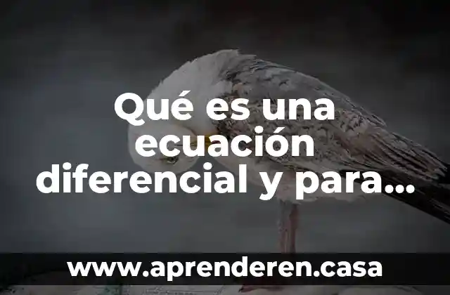 Qué es una ecuación diferencial y para qué sirve