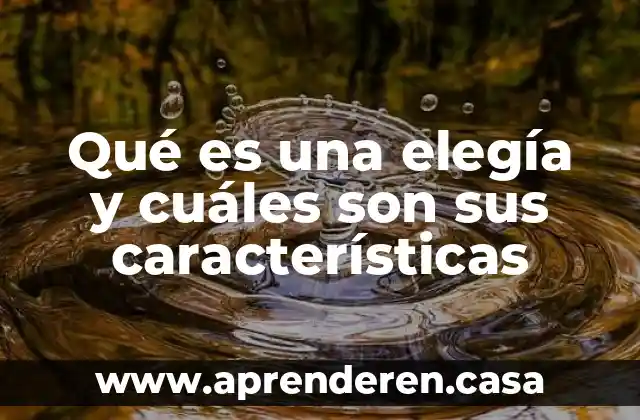 Qué es una elegía y cuáles son sus características