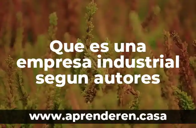 Que es una empresa industrial segun autores