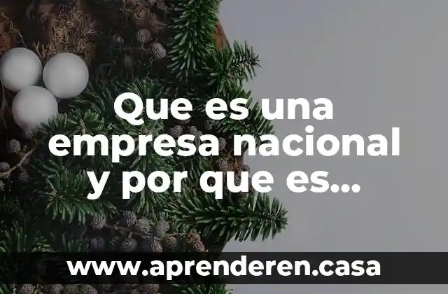 Que es una empresa nacional y por que es nacional