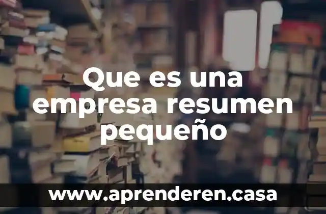Que es una empresa resumen pequeño