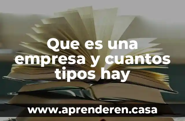 Que es una empresa y cuantos tipos hay