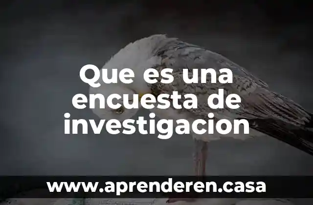 Investigación dialecto-constructiva que es 5 Que es una encuesta de investigacion