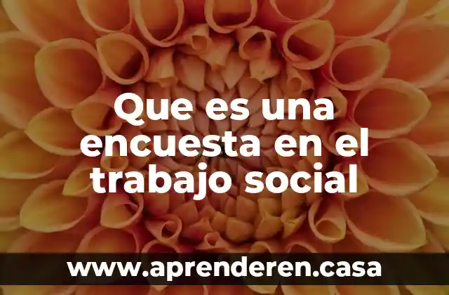 Que es una encuesta en el trabajo social