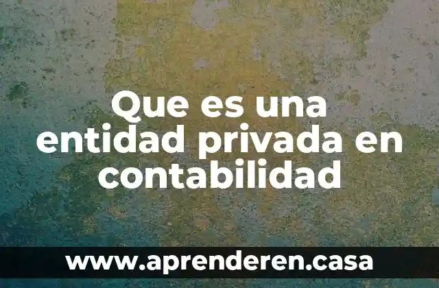 Que es una entidad privada en contabilidad