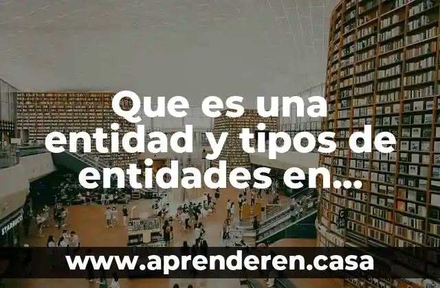 Que es una entidad y tipos de entidades en programacion