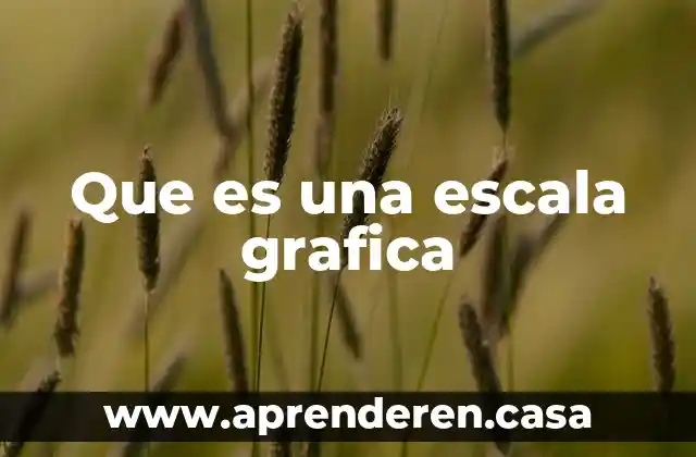 Que es una escala grafica