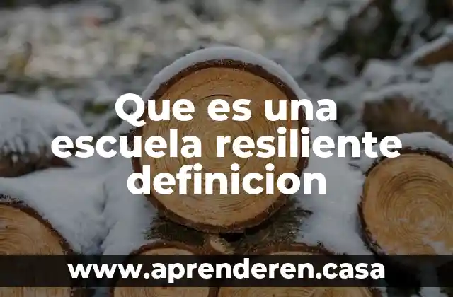 Que es una escuela resiliente definicion