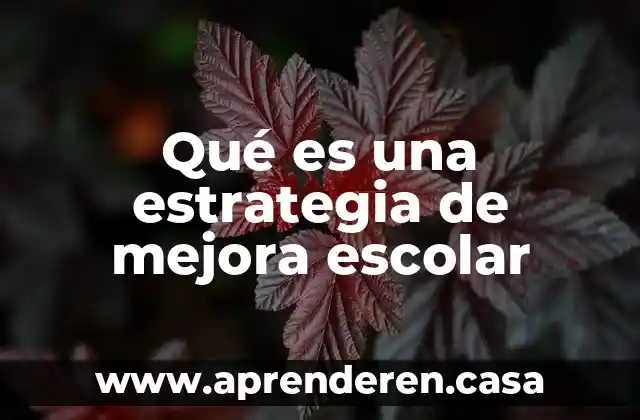 Qué es una estrategia de mejora escolar