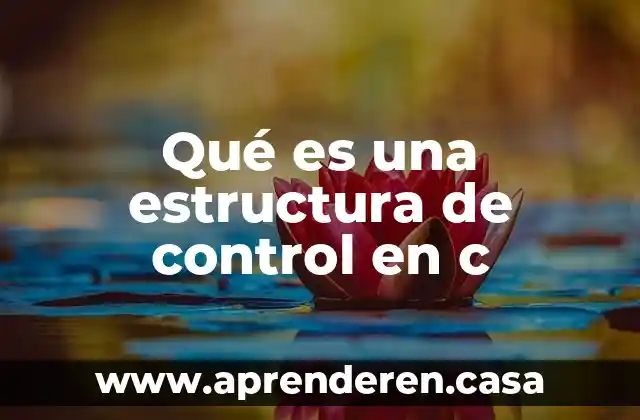 Qué es una estructura de control en c