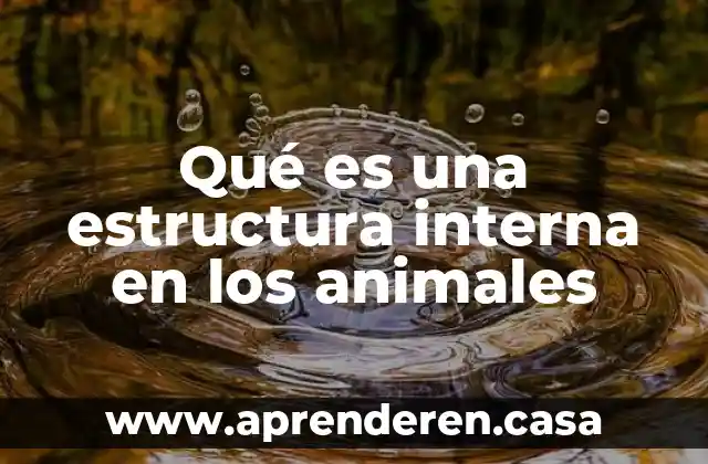 Qué es una estructura interna en los animales