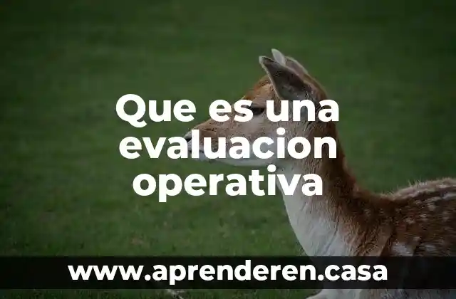 Que es una evaluacion operativa