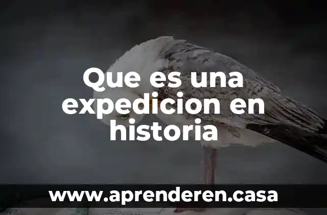 Que es la totalidad el la historia 4 Que es una expedicion en historia