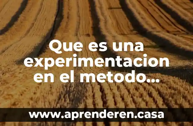 Que es una experimentacion en el metodo cientifico