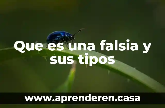 Que es una falsia y sus tipos