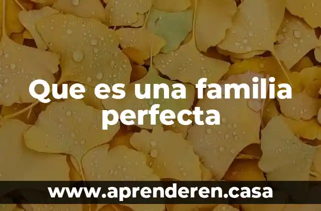 Que es la familia lm 3 Que es una familia perfecta