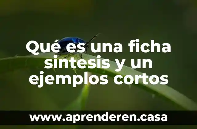 Qué es una ficha sintesis y un ejemplos cortos