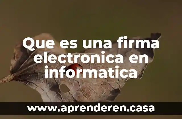 Que es una firma electronica en informatica