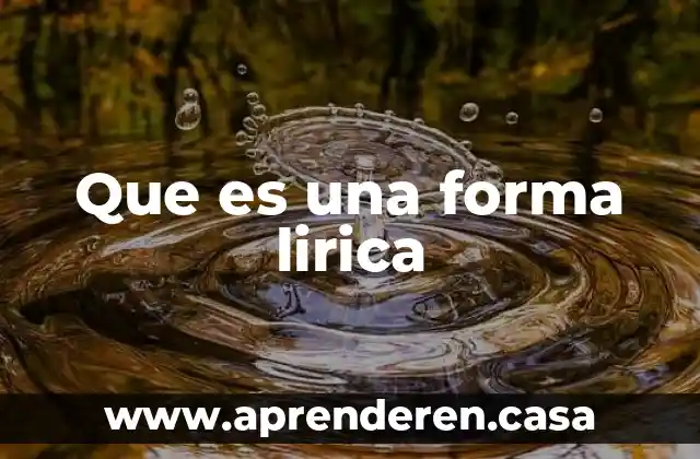 Que es una forma lirica