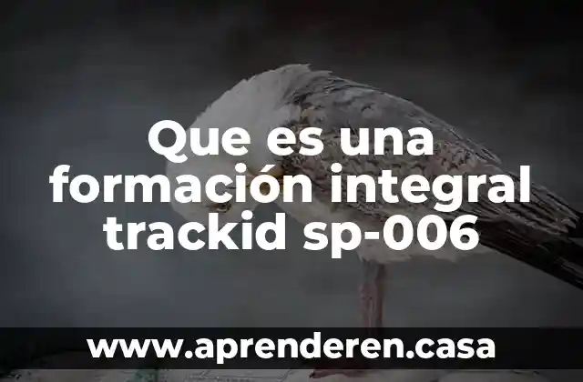 Que es una formación integral trackid sp-006