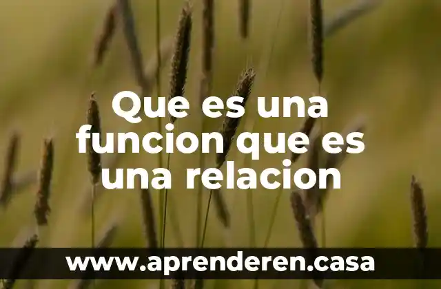 Que es una funcion que es una relacion