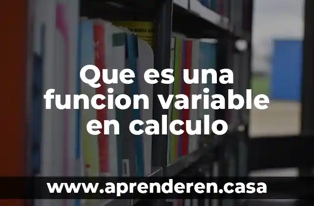 Que es una funcion variable en calculo
