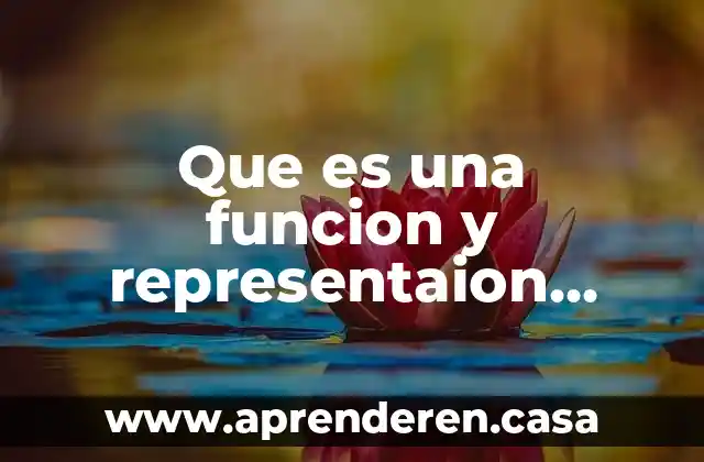 Que es una funcion y representaion grafica de una funcion