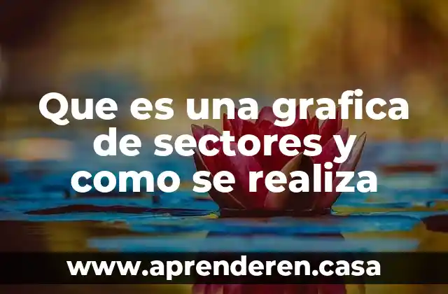Que es estudio de sectores 3 Que es una grafica de sectores y como se realiza