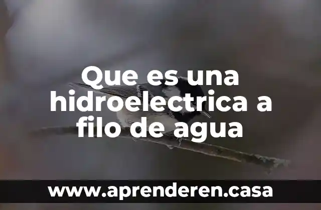 Que es una hidroelectrica a filo de agua