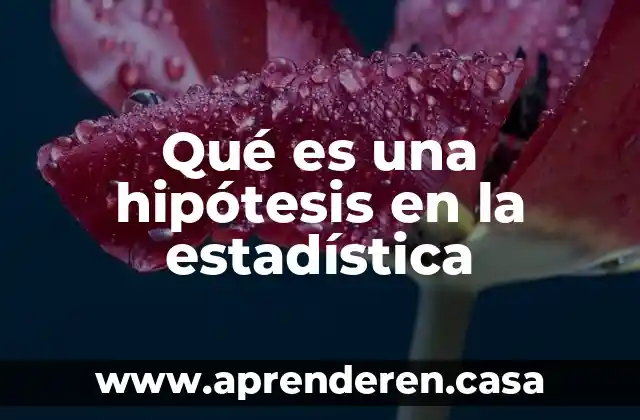 Qué es una hipótesis en la estadística