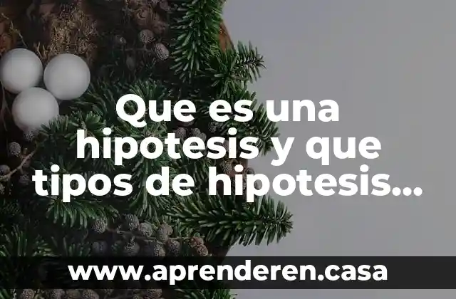 Que es una hipotesis y que tipos de hipotesis hay