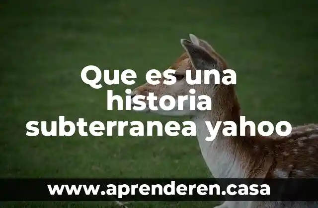 Que es una historia subterranea yahoo