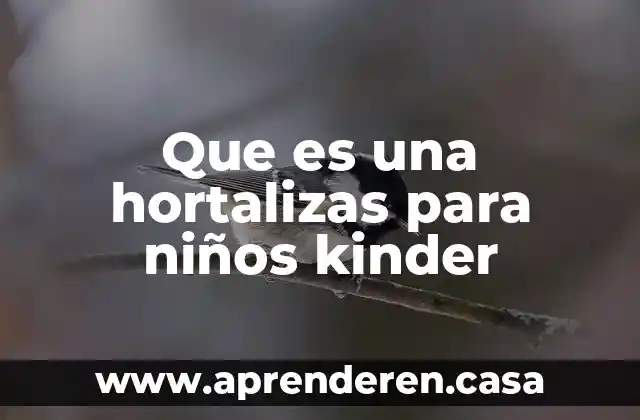 Que es la teoria del big bag para los niños 4 Que es una hortalizas para niños kinder