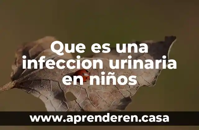 Que es la incontinencia urinaria en niños 4 Que es una infeccion urinaria en niños