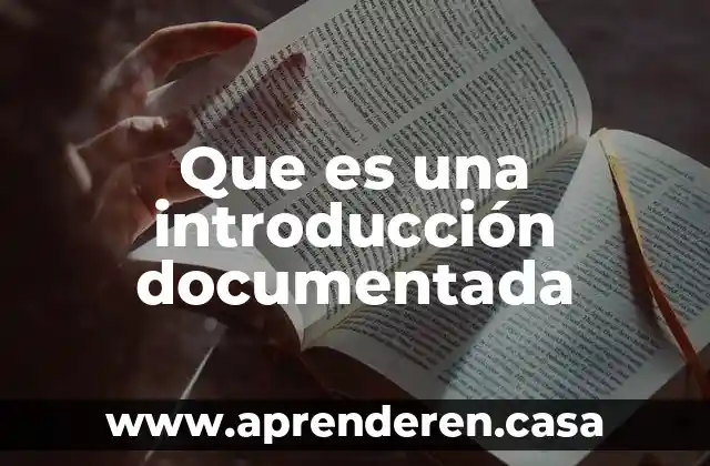 Que es una introducción documentada