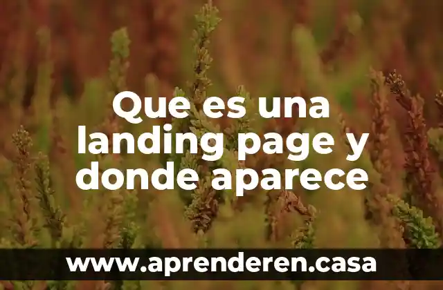 Que es una landing page y donde aparece